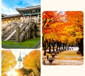 TOUR HÀN QUỐC 5N5Đ – KHÁM PHÁ SEOUL