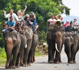 Buôn Ma Thuột – Tà Đùng 3N2Đ: Hành Trình Đặc Biệt Giữa Núi Rừng Tây Nguyên