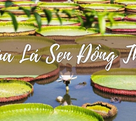 Tour Đồng Tháp – Chùa Phật Ngọc & Làng Hoa Sa Đéc 1N