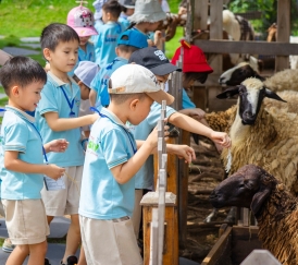 MÂY FARM - DU LỊCH CAO NGUYÊN ĐÀ LẠT TRONG NỮA NGÀY 