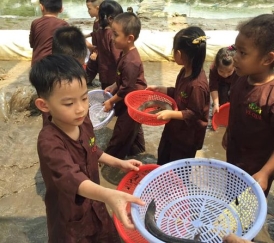 CHƯƠNG TRÌNH HỌC TẬP – TRẢI NGHIỆM NÔNG TRẠI SINH THÁI VỀ QUÊ