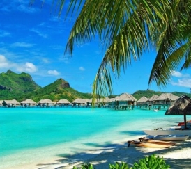 CÂU CÁ - NGẮM SAN HÔ – CÁP TREO HÒN THƠM VƯỜN THÚ SAFARI – VINWONDER