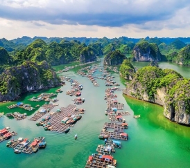 TOUR ĐẢO CÁT BÀ – VỊNH LAN HẠ 3N2Đ