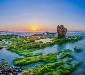  TOUR CỔ THẠCH 2N1Đ