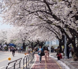 Tour du lịch SEOUL - NAMI - EVERLAND 5 ngày 4 đêm