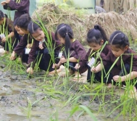 NÔNG TRẠI XANH – GREEN NOEN