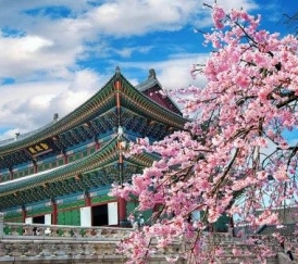 HÀN QUỐC 5N4Đ: SEOUL – ĐẢO NAMI – EVERLAND – CUNG ĐIỆN GYEONGBOK