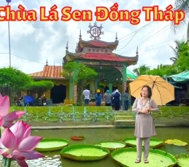 Tour Du Lịch Đồng Sen Tháp Mười và Chùa Sen Vua