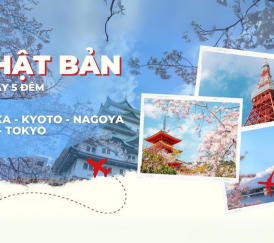 NHẬT BẢN RỰC RỠ MÙA HOA CHI ANH: OSAKA - KYOTO - PHÚ SĨ - NAGOYA - TOKYO (6 NGÀY 5 ĐÊM)