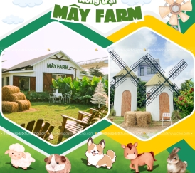 Tour Mây Farm  Quận 7 