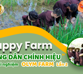 CHƯƠNG TRÌNH NGOẠI KHOÁ NÔNG TRẠI MINT FARM 
