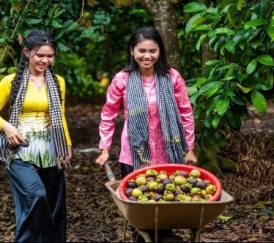 Tour tàu lửa Long Khánh – Vườn trái cây, chùa đẹp, khu du lịch hấp dẫn