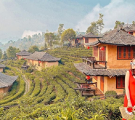 THƯỢNG HẢI – Ô TRẤN – HÀNG CHÂU – TÔ CHÂU