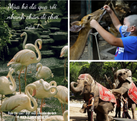Thảo Cầm Viên – Biển Tiên Đồng
