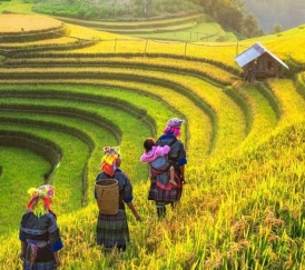 LIÊN TUYẾN TÂY BẮC - MỘC CHÂU– SƠN LA – ĐIỆN BIÊN – LAI CHÂU – SAPA