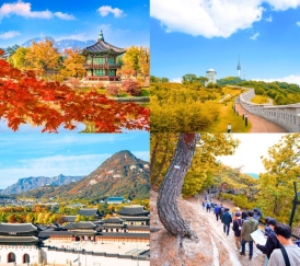 HÀNH TRÌNH TÌNH YÊU TRÊN ĐẤT HÀN: SEOUL - VƯỜN BAN MAI TĨNH LẶNG - LOTTE WORLD (5 NGÀY 4 ĐÊM)