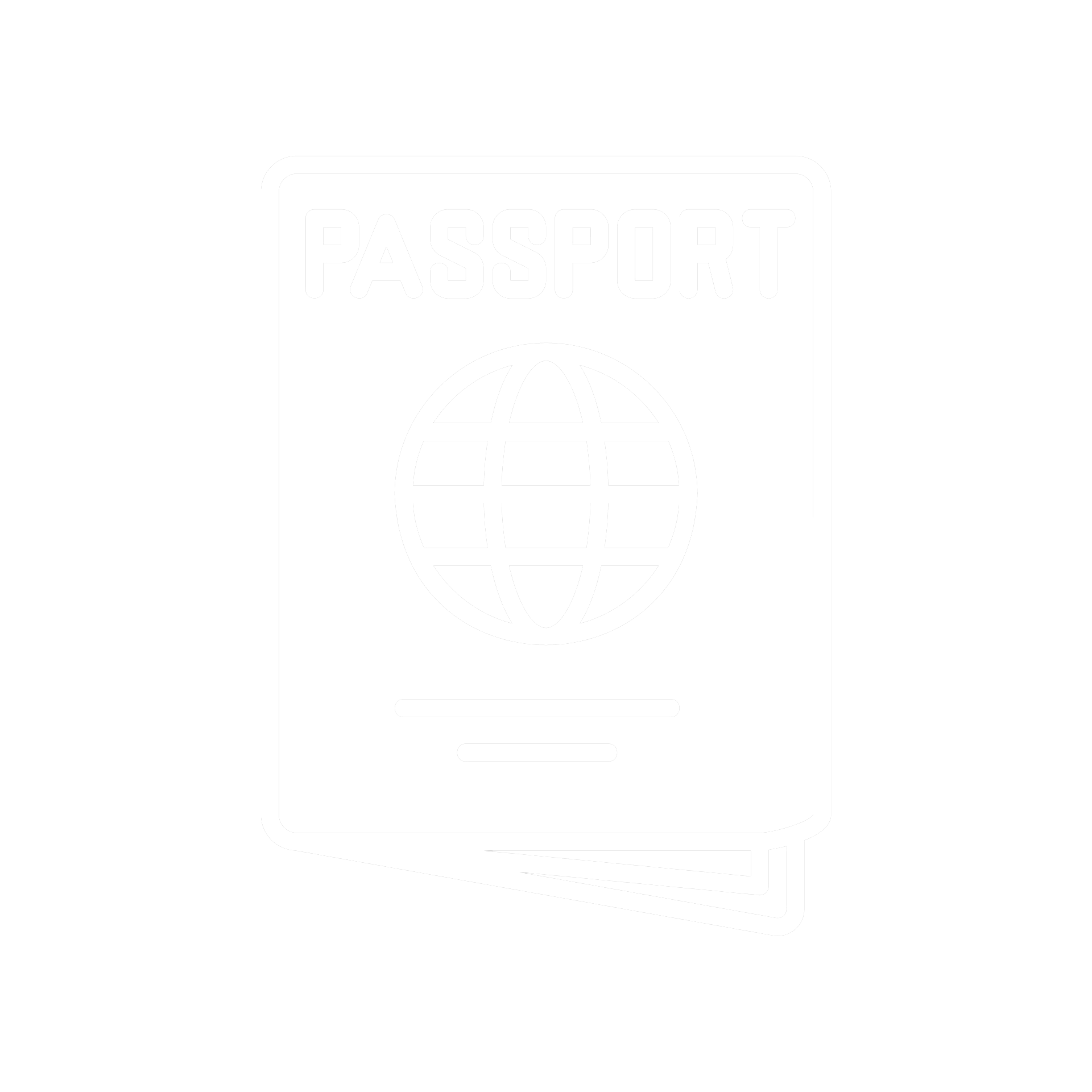 Visa Passport