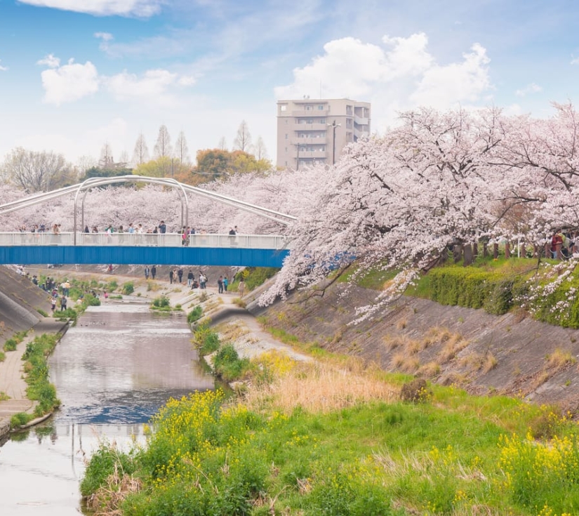 TOKYO - PHÚ SĨ - NAGOYA - KYOTO - OSAKA(6 NGÀY 5 ĐÊM)