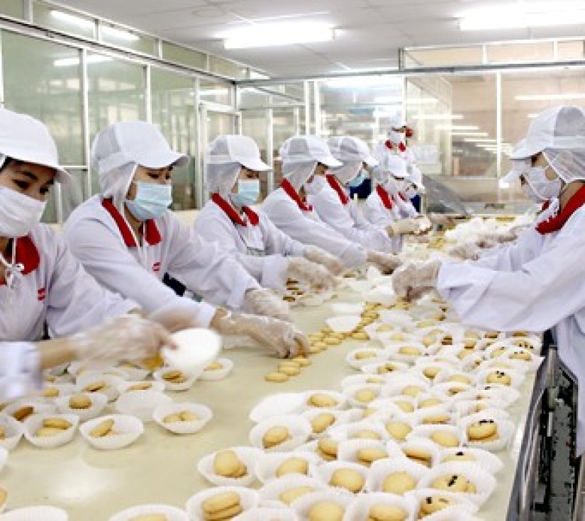 CÔNG TY  SẢN XUẤT BÁNH KEO BIBICA  -  KDL VƯỜN XOÀI