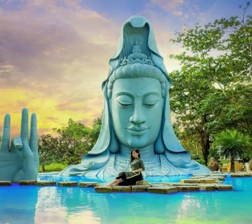 PHÚ YÊN – HOA VÀNG TRÊN CỎ XANH  - HÒN NƯA 
