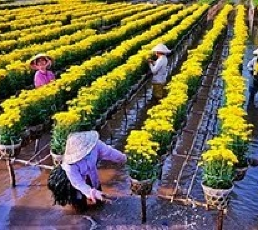 KHU LƯU NIỆM CỤ NGUYỄN SINH SẮC  - CĂN CỨ XẺO QUÝT - KHU ẨM THỰC MỸ PHƯỚC THÀNH 