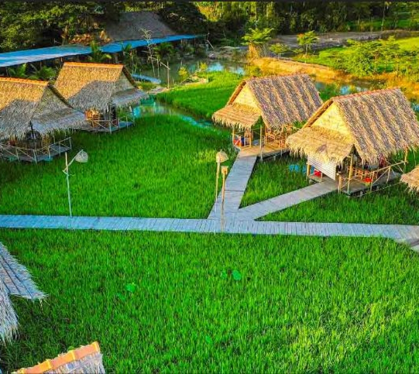 TRẢI NGHIỆM DỠ CHÀ BẮT CÁ - TÔM 