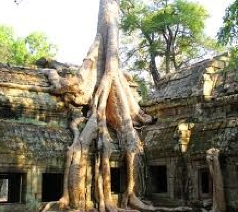CAMBODIA - MÙA NƯỚC NỔI 