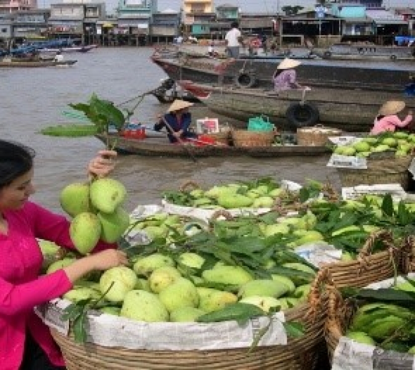 ĐẤT MŨI CÀ MAU  - BẠC LIÊU – SÓC TRĂNG -  CẦN THƠ  