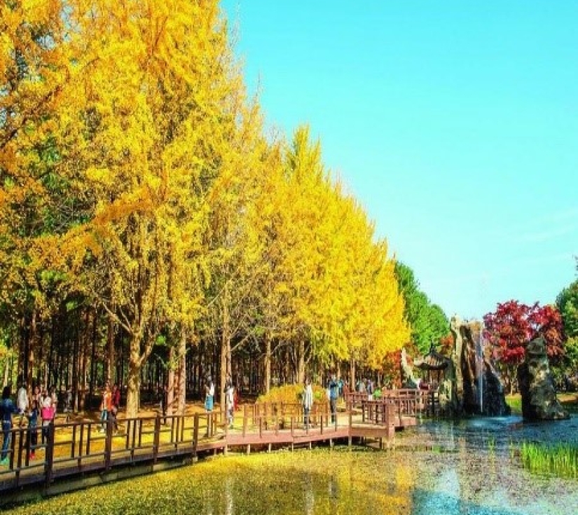 SEOUL – IMJINGAK - CHÙA TÀO KHÊSEOUL – IMJINGAK - CHÙA TÀO KHÊ