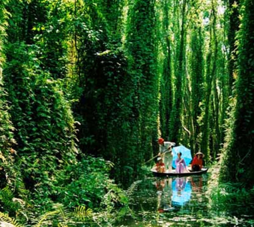 KHU LƯU NIỆM CỤ NGUYỄN SINH SẮC  - CĂN CỨ XẺO QUÝT - KHU ẨM THỰC MỸ PHƯỚC THÀNH 