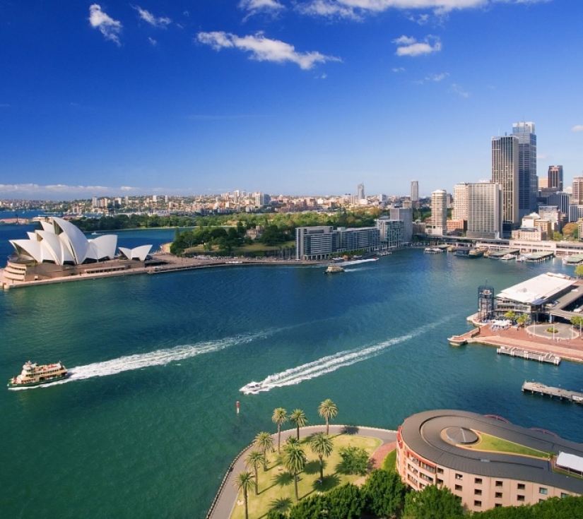 MONO SYDNEY (1)