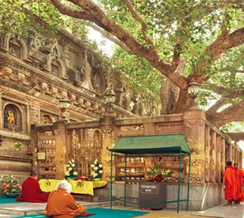 Chương trình du lịch” Hành Hương Đến Đất Phật” DELHI - VARANASI - BODHGAYA - RAJGIR - PATNA