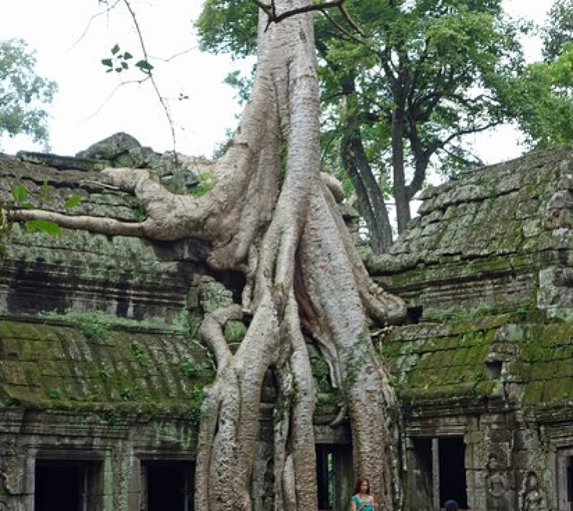 Phnômpênh –  Siêm Riệp – Battambang - Pattaya – Bangkok