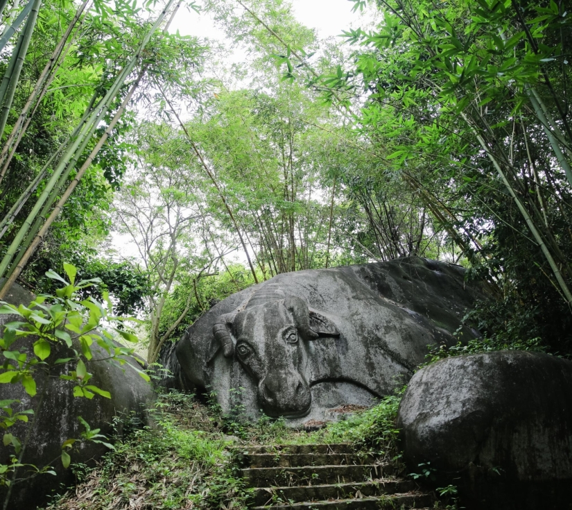 TOUR TRUY TÌM KHO BÁU – MADAGUI
