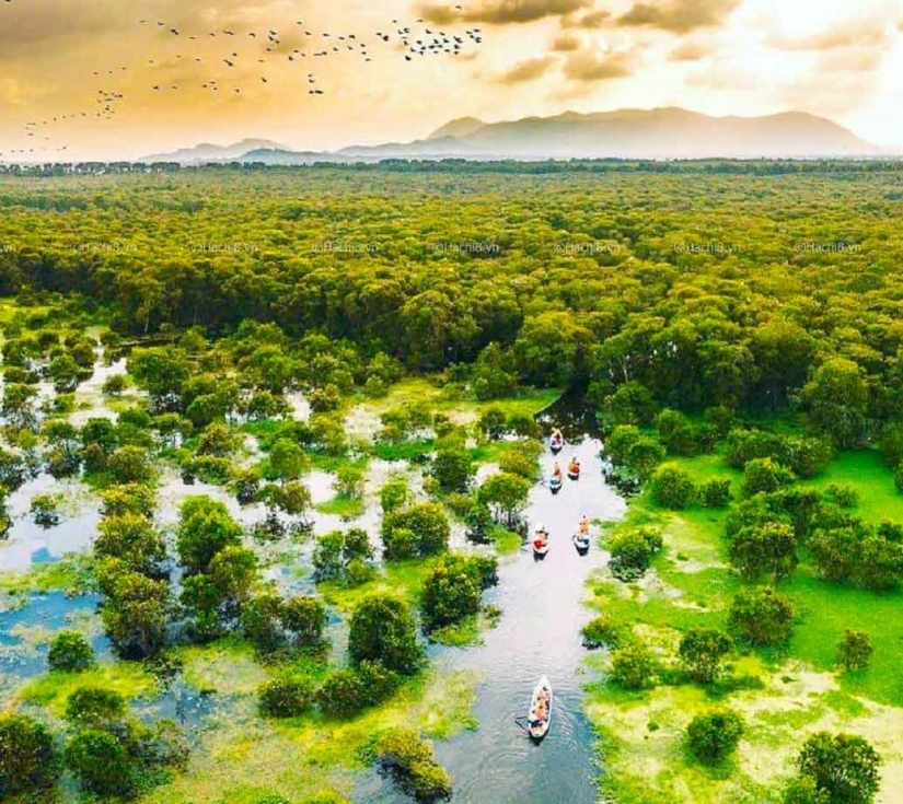 TOUR CHÂU ĐỐC VIẾNG BÀ MIẾU BÀ CHÚA XỨ NÚI SAM – NÚI CẤM/RỪNG TRÀM TRÀ SƯ