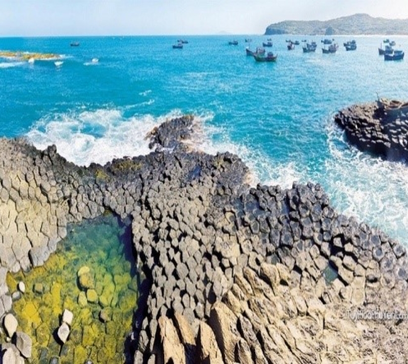 PHÚ YÊN – HOA VÀNG TRÊN CỎ XANH  - HÒN NƯA 