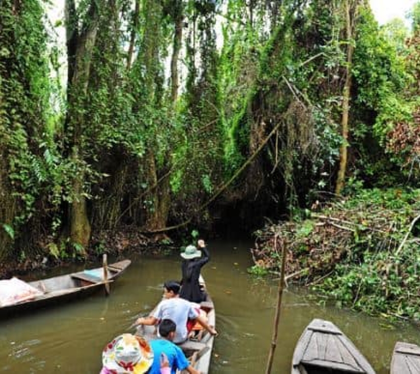 KHU LƯU NIỆM CỤ NGUYỄN SINH SẮC  - CĂN CỨ XẺO QUÝT 