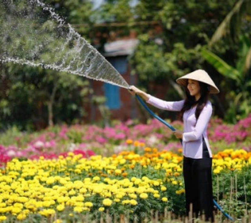 LÀNG HOA SA ĐÉC – CHÙA CỔ PHƯỚC LONG  BÁNH XÈO CHAY - CHÙA HỘI PHƯỚC