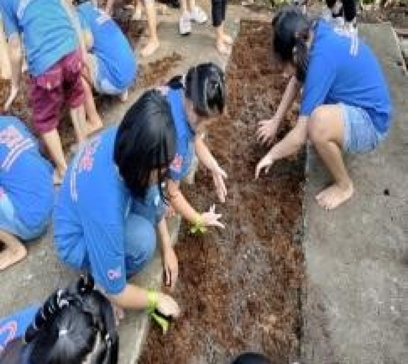 CHƯƠNG TRÌNH THAM QUAN – HỌC TẬP – TRẢI NGHIỆM  GREEN PARK