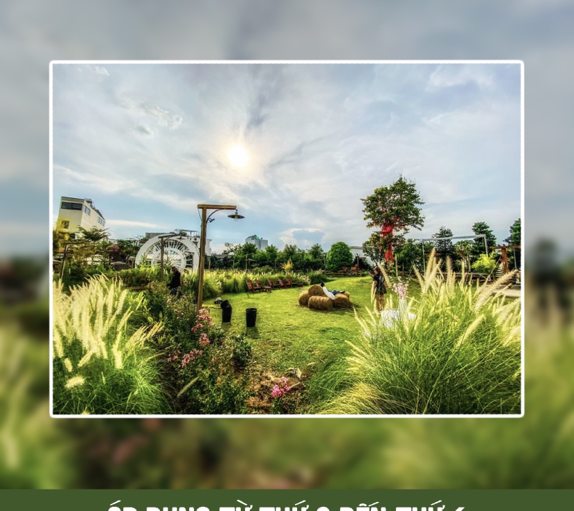 MÂY FARM - DU LỊCH CAO NGUYÊN ĐÀ LẠT TRONG NỮA NGÀY 
