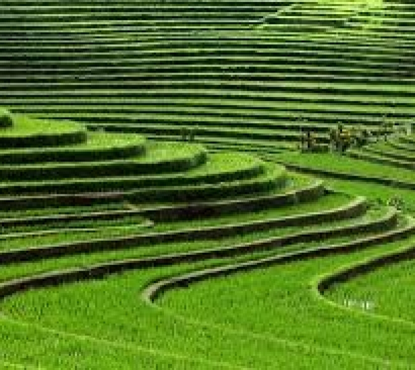 BALI -  KHÁM PHÁ XỨ SỞ VẠN ĐẢO