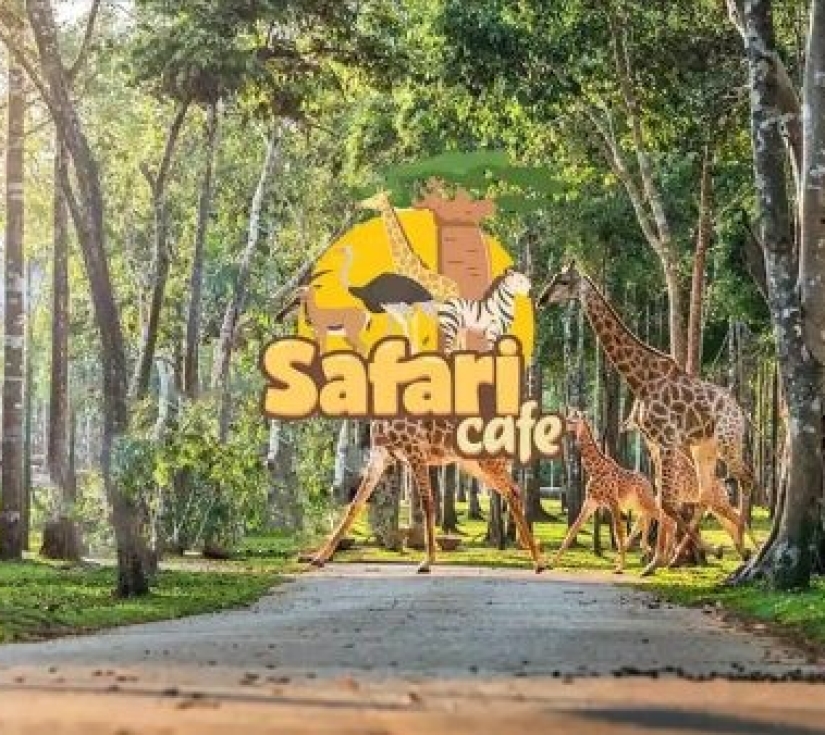 PHAN THIẾT – MŨI NÉ  SA MẠC HOANG SƠ