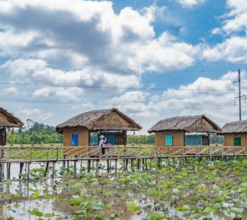 TRẢI NGHIỆM DỠ CHÀ BẮT CÁ - TÔM 
