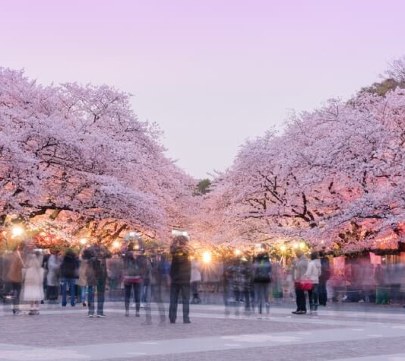 TOKYO - PHÚ SĨ - NAGOYA - KYOTO - OSAKA(6 NGÀY 5 ĐÊM)