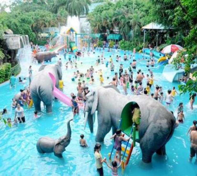THẢO CẦM VIÊN  – ĐẦM SEN NƯỚC 