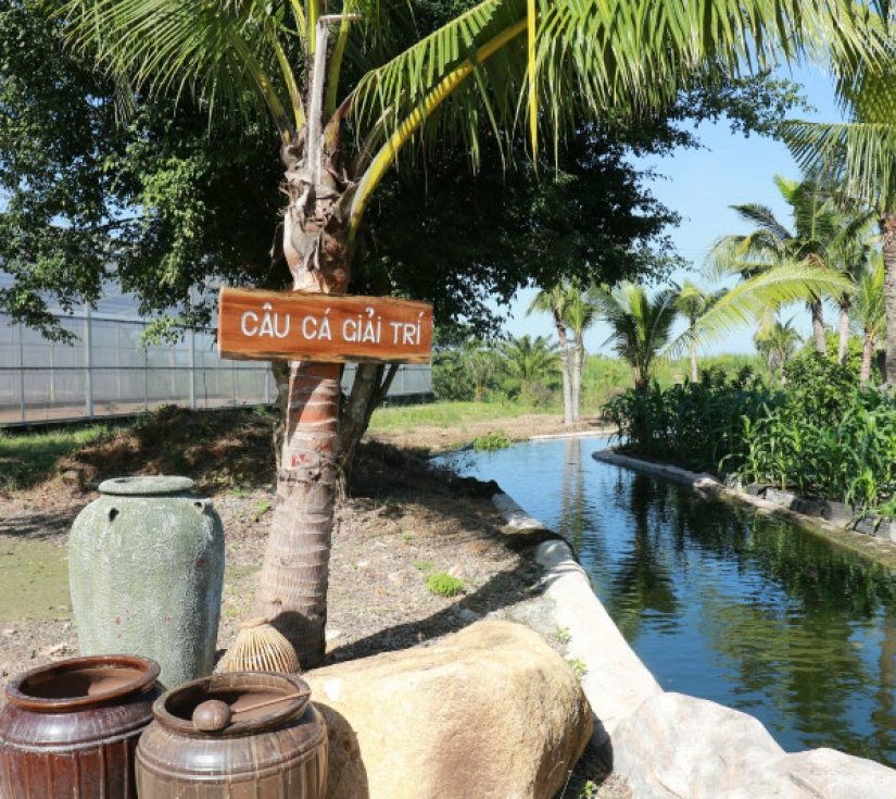 GỐM SỨ BÌNH DƯƠNG  - NÔNG TRẠI CÀNG CUA - VƯỜN THÚ ĐẠI NAM 