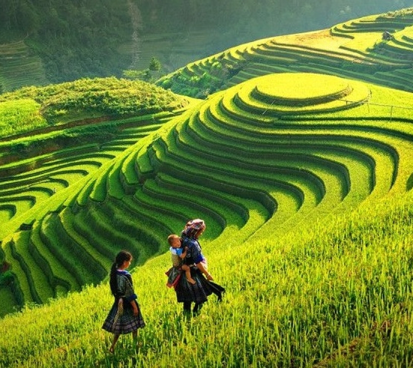 HÀ NỘI -  SAPA - MOANA - FANSIPAN- BẢN CÁT CÁT KHÁM PHÁ MẢNH ĐẤT ĐỊA ĐẦU Y TÝ - LŨNG PÔ