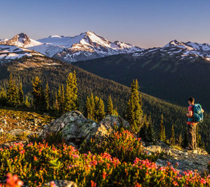 ĐÓN MÙA THU LÁ ĐỎ TẠI BỜ TÂY CANADA  VANCOUVER – VICTORIA – WHISTLER