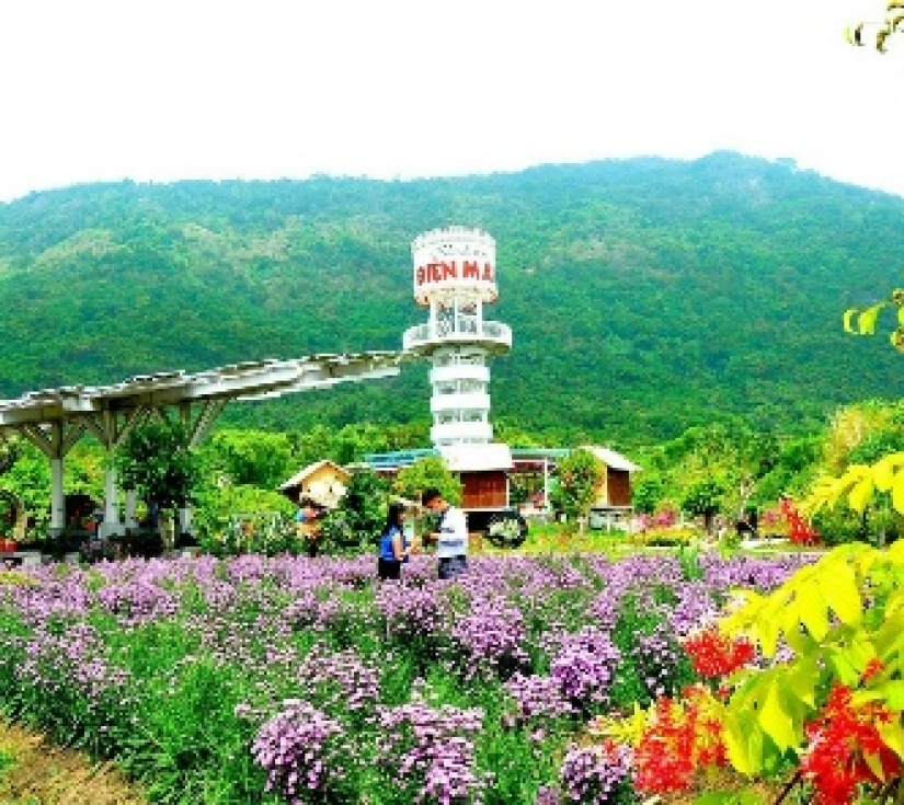 CHÙA BÀ  CHÚA XỨ  – NÚI CẤM - KHU DU LỊCH LÂM VIÊN 