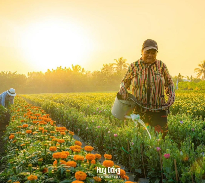 ĐẤT MŨI CÀ MAU-   BẠC LIÊU – SÓC TRĂNG -  CẦN THƠ  -TIỀN GIANG                                                        